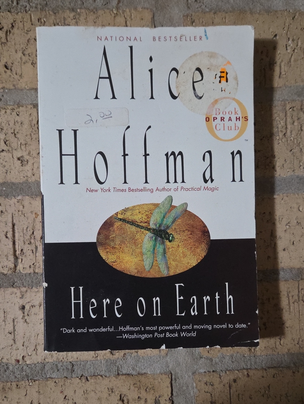 Here on Earth by Alice Hoffman